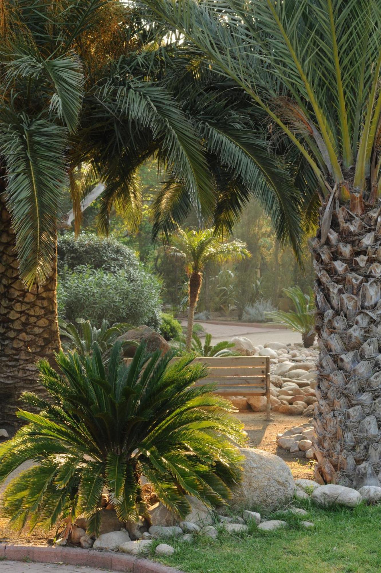 Hotel Le Belvedere Porto-Vecchio  Exterior photo